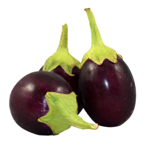 Brinjal_img