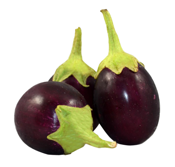 Brinjal_img